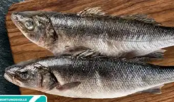 Lidl Cromaris Wolfsbarsch Angebot