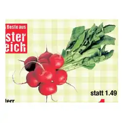 Maximarkt Österr. Radieschen Maximarkt Angebot