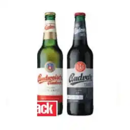 Maximarkt Budvar oder Budvar Dark Maximarkt Angebot