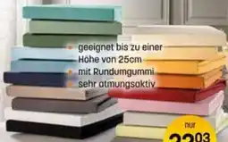 Reiter Jersey-Spannleintuch Angebot
