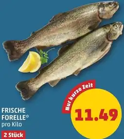 PENNY Frische forelle Angebot