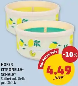 PENNY Citronella- schale Angebot