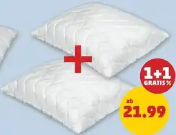 PENNY Kopfkissen Angebot