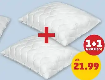 PENNY Kopfkissen Angebot
