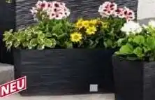 Norma Blumenkasten eckig Angebot
