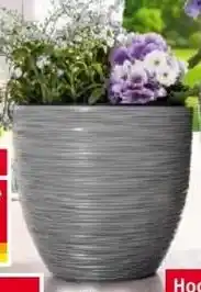 Norma Blumentopf Florenz Angebot