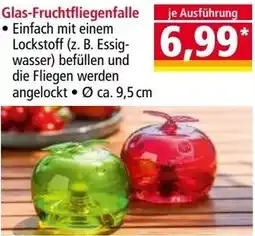Norma Glas-Fruchtfliegenfalle Angebot