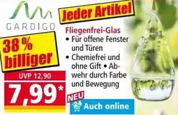 Norma Fliegenfrei-Glas Angebot