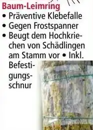 Norma Baum-Leimring Angebot