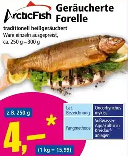 Norma Geräucherte Forelle Angebot