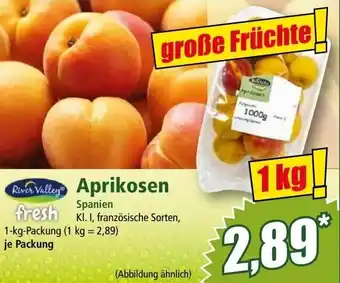 Norma Aprikosen Angebot