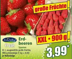 Norma Erd- beeren Angebot