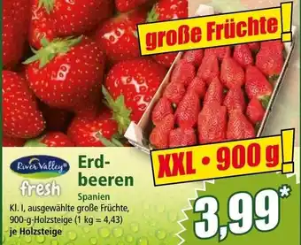 Norma Erd- beeren Angebot