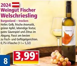 Norma Weingut Fischer Angebot