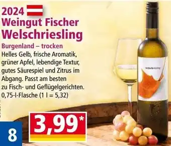 Norma Weingut Fischer Angebot