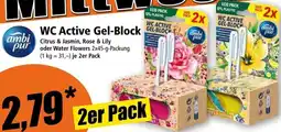 Norma WC Active Gel-Block Angebot