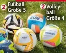 Norma Volley- ball Angebot