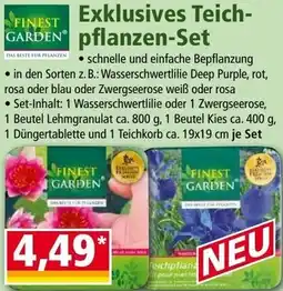 Norma Exklusives Teich- pflanzen-Set Angebot