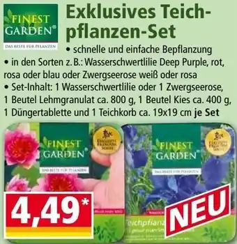 Norma Exklusives Teich- pflanzen-Set Angebot