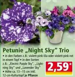 Norma Petunie Night Sky Trio Angebot