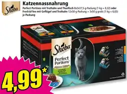 Norma Katzennassnahrung Angebot