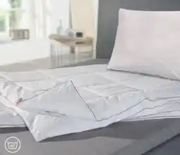 Matratzen Concord Mono-Steppbett Angebot
