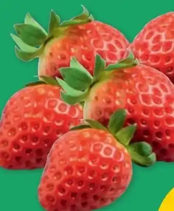 PENNY Best Moments Erdbeeren Angebot