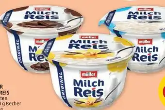 PENNY Müller Milchreis Angebot