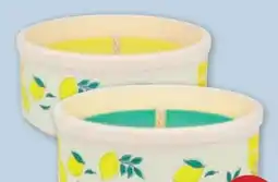 PENNY Hofer Kerzen Citronellaschale Angebot