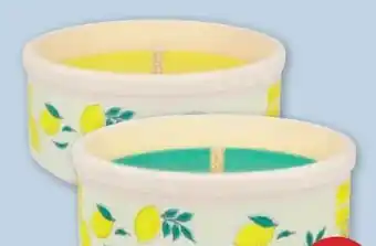 PENNY Hofer Kerzen Citronellaschale Angebot