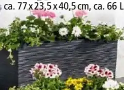 Norma Powertec Garden Blumenkasten Florenz Angebot