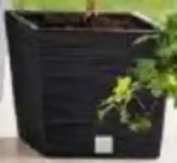 Norma Powertec Garden Pflanzgefäße Florenz Angebot
