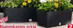 Norma Powertec Garden Blumenkasten Florenz Angebot
