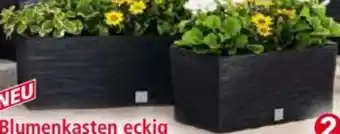 Norma Powertec Garden Blumenkasten Florenz Angebot