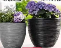 Norma Powertec Garden Blumentopf Florenz Angebot