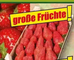 Norma River Valley Erdbeeren Angebot