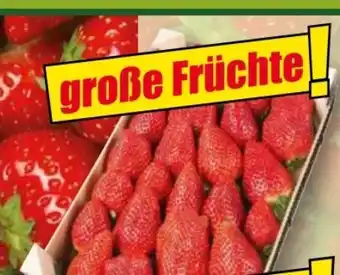 Norma River Valley Erdbeeren Angebot