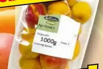 Norma River Valley Aprikose Angebot
