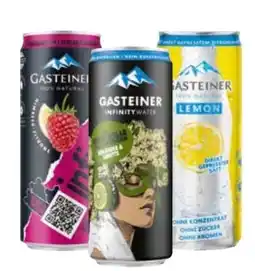 Transgourmet Gasteiner Lemon Angebot