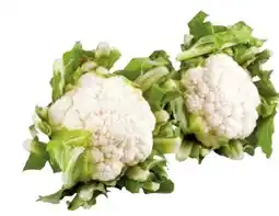 Transgourmet Karfiol Angebot