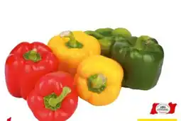 Transgourmet Paprika Mix Angebot