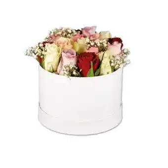 Lidl Rosenbox versch. Arrangements Lidl Angebot