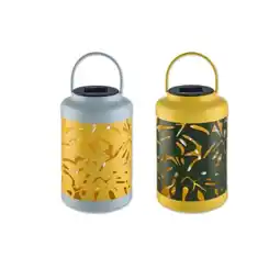 Lidl LED-Solar-Laterne Lidl Angebot
