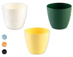 Lidl Pflanztopf, Ø 18 cm Lidl Angebot
