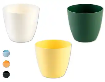 Lidl Pflanztopf, Ø 18 cm Lidl Angebot