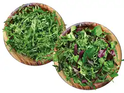 Lidl Mix-Salat oder Rucola Lidl Angebot