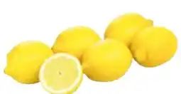 Transgourmet Natürlich für uns Bio Zitronen Angebot
