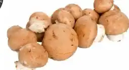 Transgourmet Natürlich für uns Bio Cremechampignon Angebot