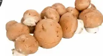 Transgourmet Natürlich für uns Bio Cremechampignon Angebot