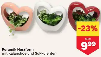 MPreis Keramik Herzform Angebot